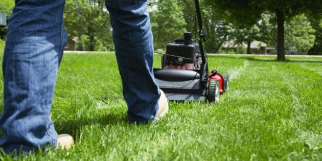 Lawn Care Pro Tips & Garden Attachments You Need