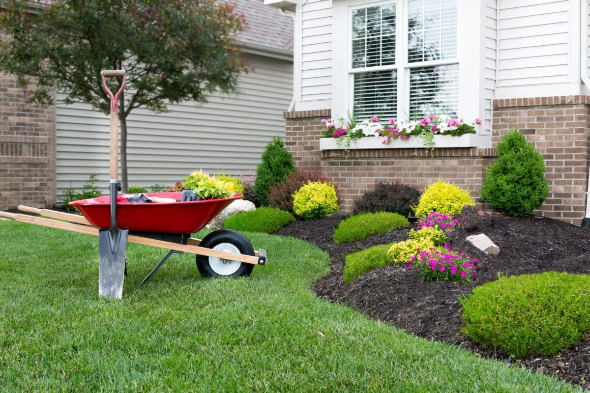 The 3 Most Essential Gardening Services For Summer