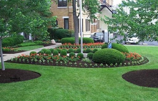 Lawn Mowing Tips for Your Sydney Garden