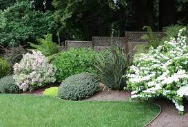 Gardening Services for the North Shore