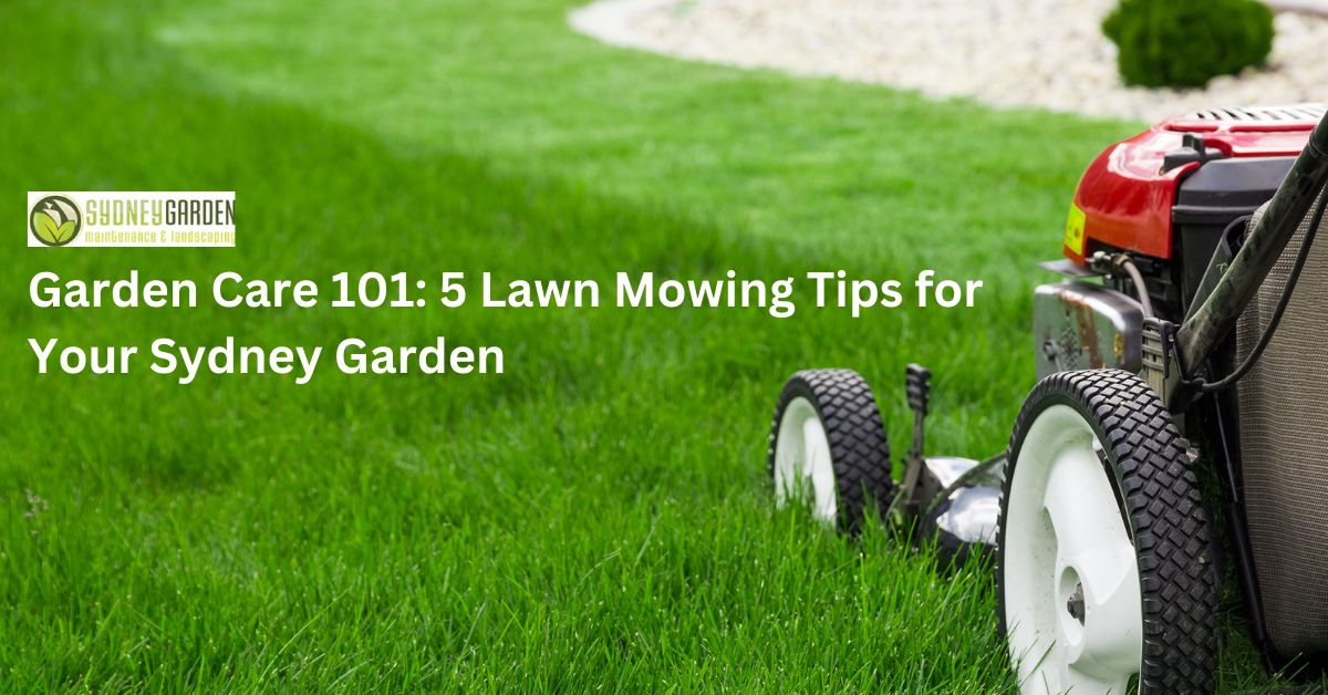 Garden Care 101 5 Lawn Mowing Tips for Your Sydney Garden