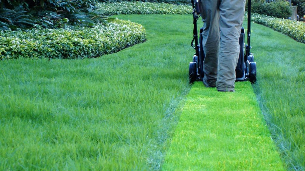 Lawn Mowing Services Sydney