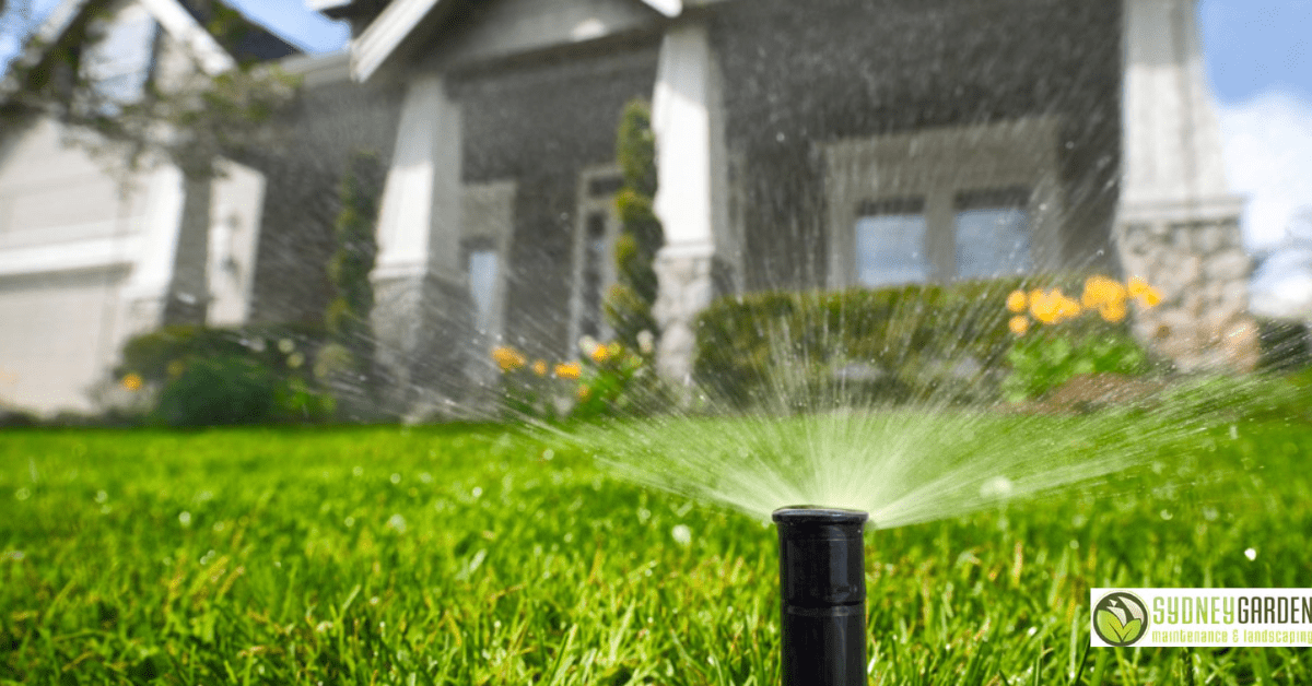 Gardening 101 Choosing the Right Garden Irrigation System for Your Sydney Property