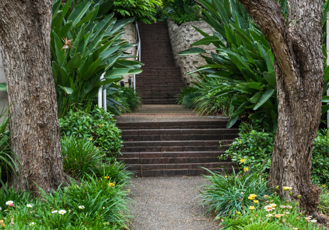 P-DSC00246 P-DSC00246